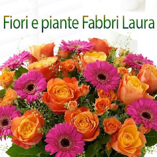 Fiori e piante