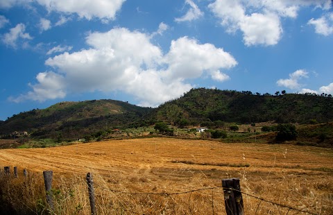 Agriturismo La Porticella