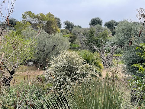 Giardino Botanico Lama Degli Ulivi