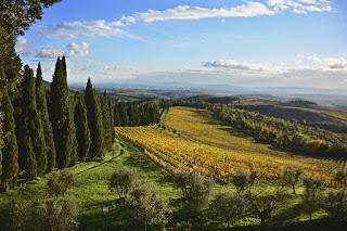 UNDER THE TUSCAN SUN TOURS since 1990