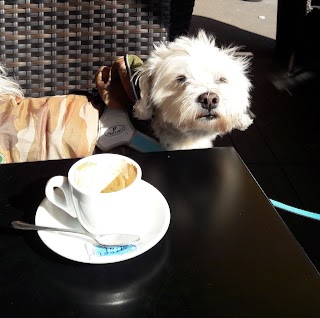 Bread and Coffee