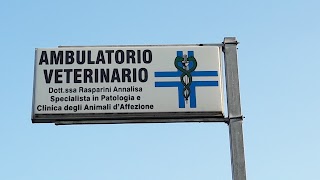 Ambulatorio Veterinario Rasparini