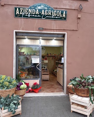 Azienda Agricola di Fabiana Cecchini