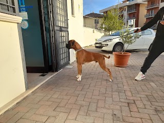 Centro Veterinario San Rocco