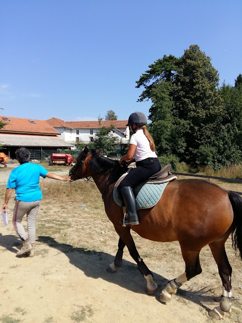 horse & pony club pratorondanino