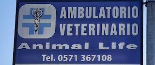 AMBULATORIO VETERINARIO "ANIMAL LIFE" Dott.ssa Jessica Pucci