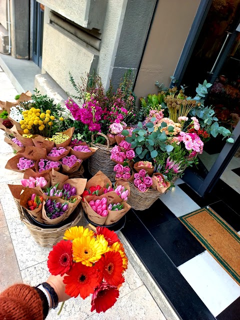 Frida's La Spezia | Italian Flower Stores