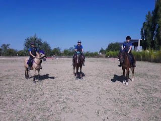 Centro Turismo Equestre Roversella