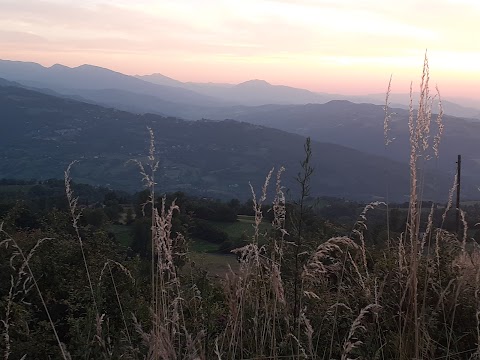 Manu caffè di Albicini Manuela