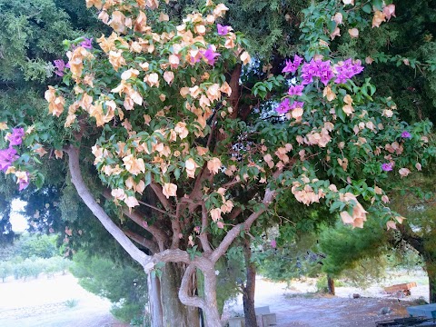 Casa del Sole - Antica Masseria Mizzaro