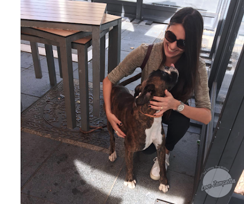 Love Zampetta - Dogsitter - Petsitter