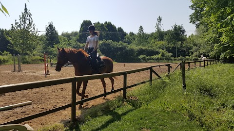 Centro Sportivo Equestre Associazione Sportiva Dilettantistica