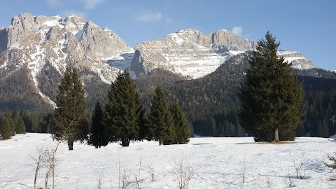 Scuola Italiana Sci CCM Campiglio