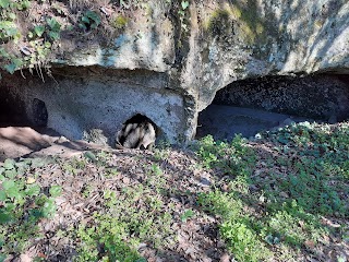 Necropoli di Pian del Vescovo - Blera