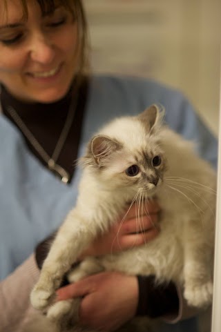 Centro Veterinario San Giorgio di Dr. Sergio Comoglio