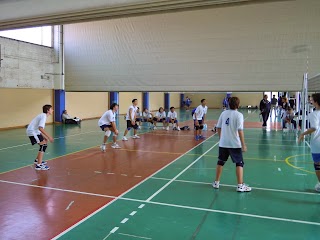 ASD YZvolley