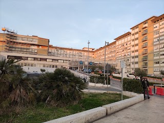 Policlinico Universitario Agostino Gemelli