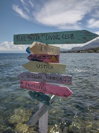 Blue Shark Diving Club