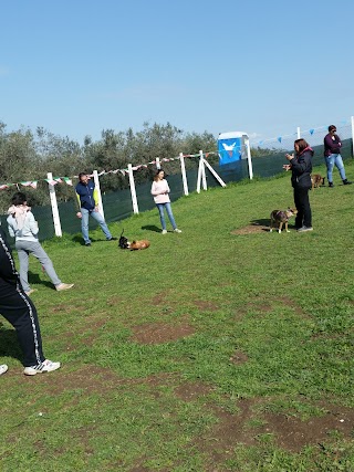 Country Dog Club A.S.D. Centro Cinofilo