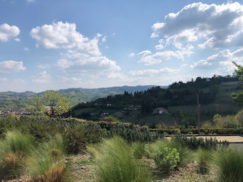 The house in the vineyard