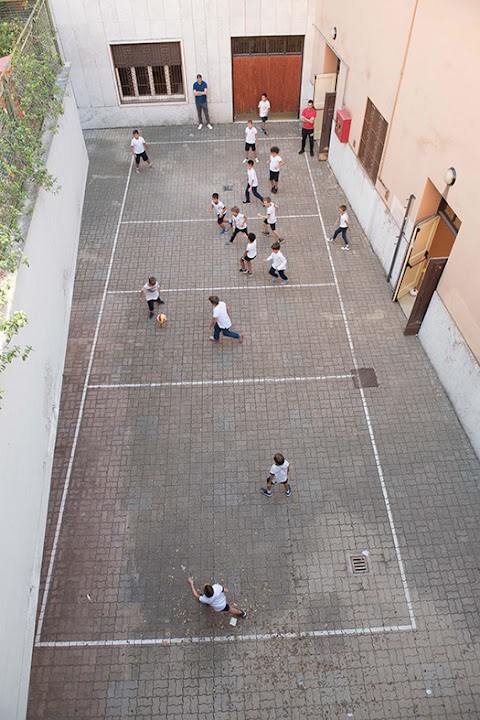 Dedalo - Istituto Cuore Immacolato di Maria