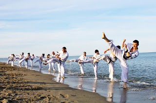Seido Karate Italy