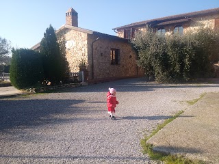 Agriturismo Il Maniero Di Benedetto Benedetti