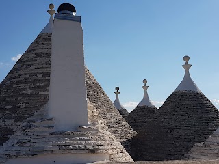 Masseria Croce Piccola - Wineyard