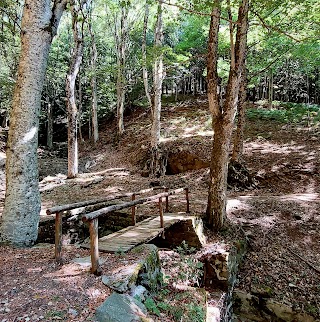 Centro di Educazione Ambientale di Acquerino