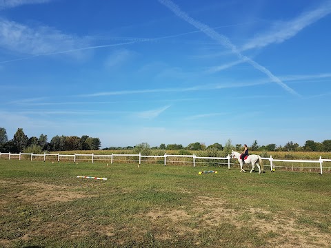 Natural Horse Ranch