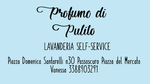 Profumo di Pulito - Lavanderia Self-Service