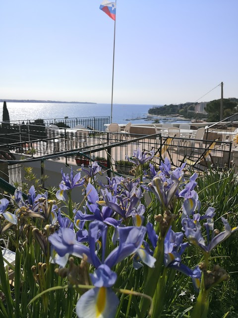 Apartments Villa Parenzana Portorož