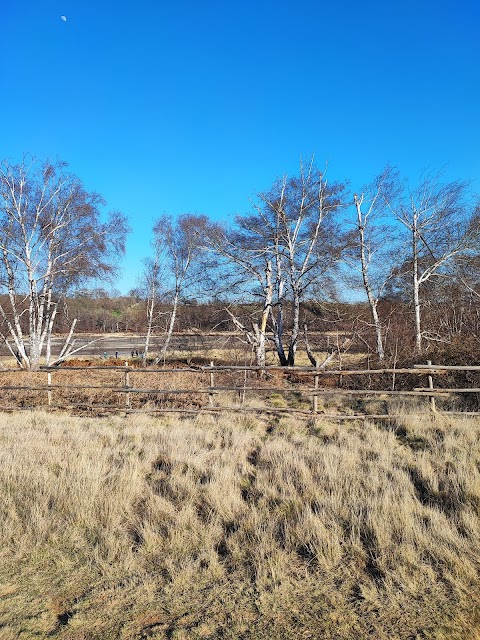 Monumento naturale Caldara di Manziana