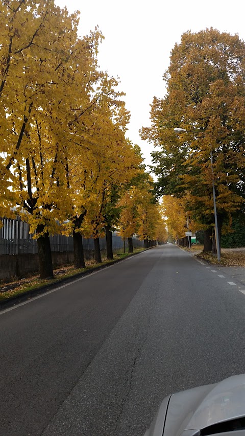 Peugeot - Off. Rip. Carburatori Decadenti Mario