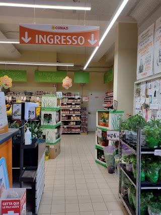 Supermercato Conad Sabaudia