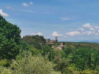 Circolo Arci Ancaiano