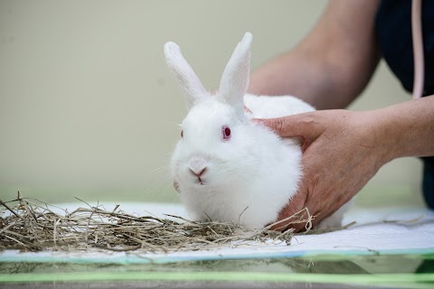 Clinica Veterinaria Borghesiana