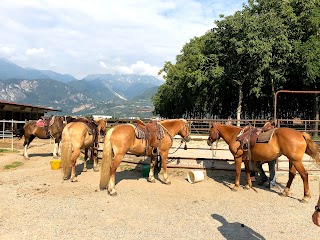 Horse Trekking Dolomiti & Alto Garda