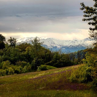 Studio Sussetto Di Sussetto Rag. Ombretta