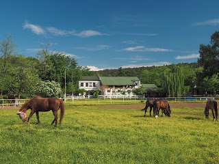 Centro Ippico Pietrarossa