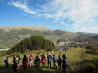 Sistema Natura - Servizi per l'educazione ambientale e il turismo naturalistico