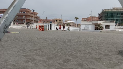 Spiaggia libera Flavio J. Simpson 07