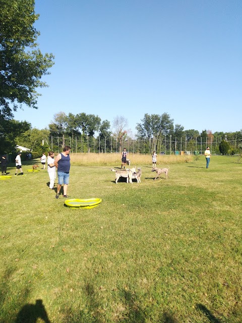 Cani-per-Caso asd Ludoteca-Asilo Piscina e Scuola