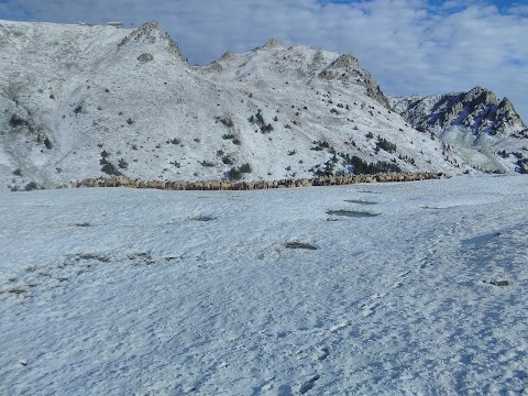 Igloo Village Les Arcs