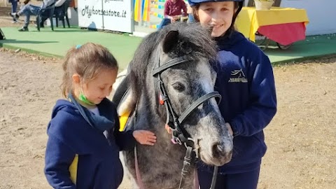 Centro Ippico San Marco asd Scuola Federale Fise