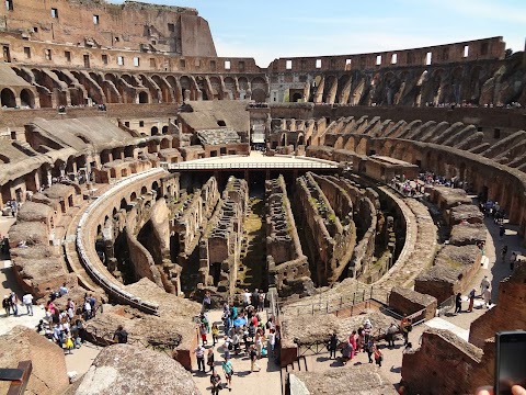 Tours of the Colosseum - Colosseum & Roman Forum & other Guided Tours