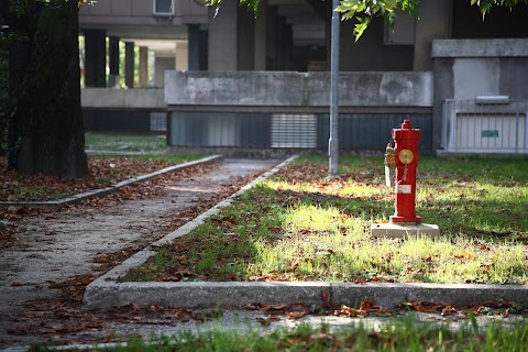 Scuola Nuoto Pinnato Padova