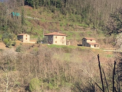 Casa Di Bertie