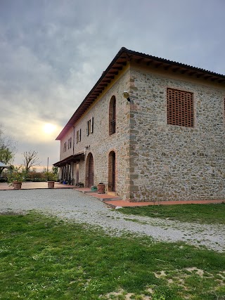 Villa Il Leccio