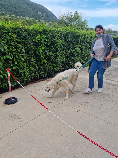 VETERINARIA SAN COSTANZO COOP STP